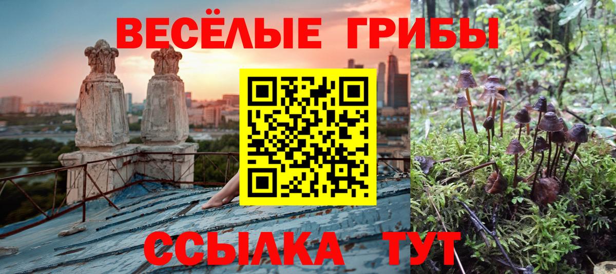 Псилоцибиновые грибы мицелий Дзержинск